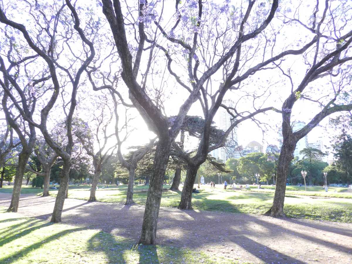 Un mundo imaginario descansa en la intimidad del&nbsp;hogar