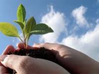 El medio ambiente bien entendido empieza por&nbsp;casa