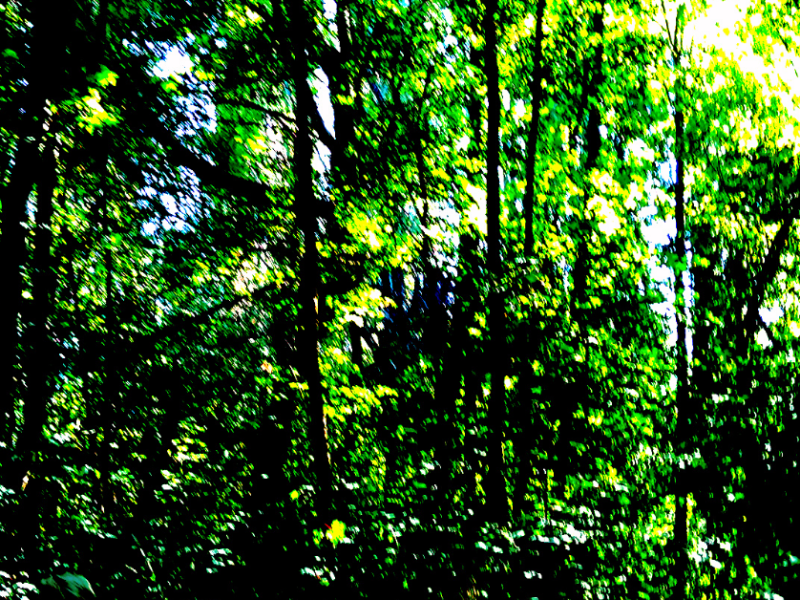 ¿Existe la muerte en&nbsp;vida?