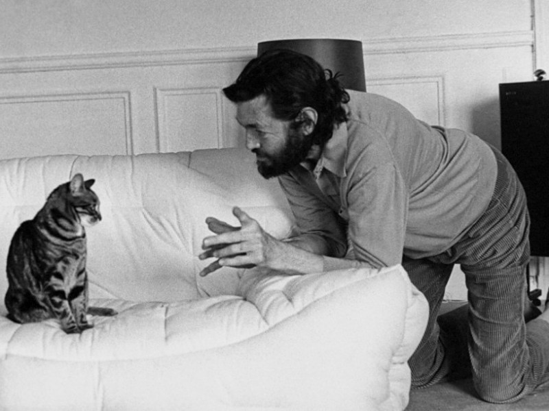 Los gatos no viajan (parte II), según Cortázar y&nbsp;Neruda