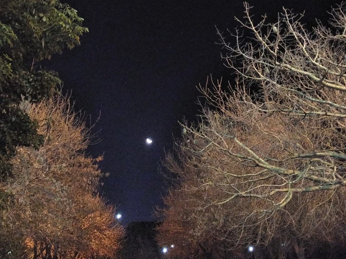 Cuando el periodismo&nbsp;llama