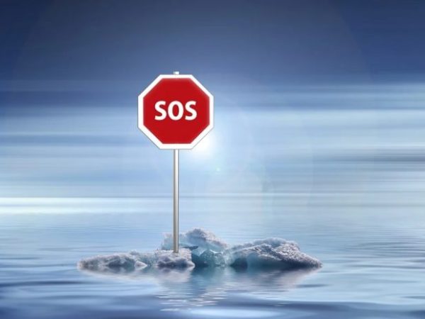 «La pandemia despabila: es inconcebible como&nbsp;vivimos»