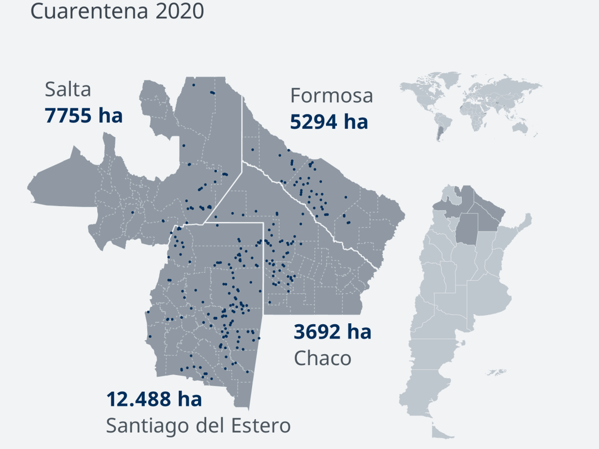 No cesan el desmonte ni los incendios en el Delta del&nbsp;Paraná