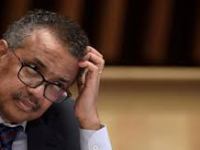 «No hay bala de&nbsp;plata»