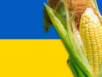 Presión de España para que se faciliten importaciones de cereales de Argentina y EEUU por la guerra en&nbsp;Ucrania