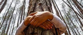 Cuando el niño era&nbsp;niño