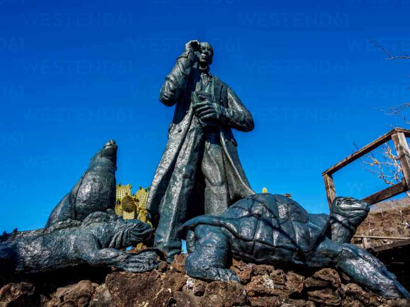 Aquí me estoy…¡cubierto de&nbsp;escombros!