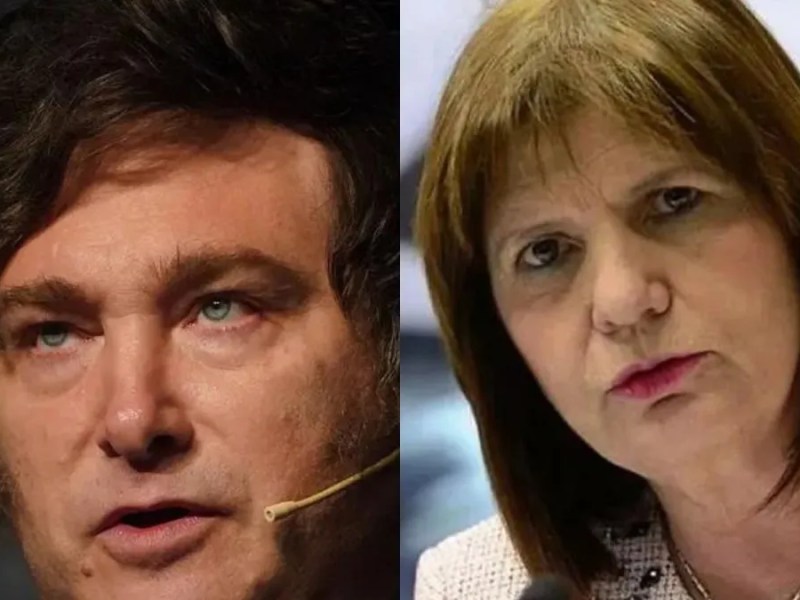 «Bullrich y Milei son dirigentes muy distintos, pero complementarios», afirmó&nbsp;Guelar