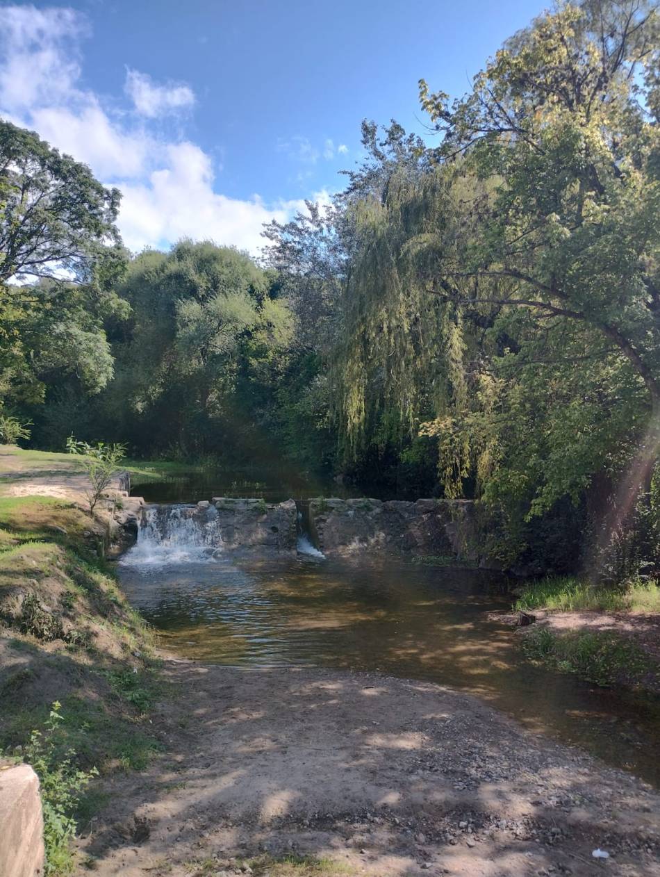 Voluntad, energía y amor