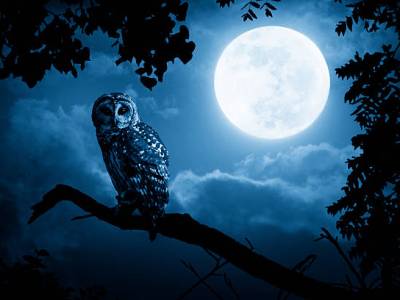 El príncipe está&nbsp;triste