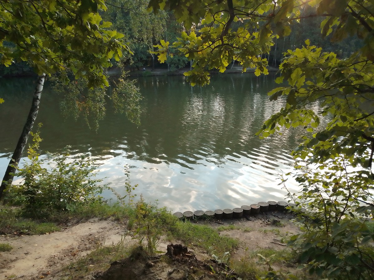 La discusión y la&nbsp;calma