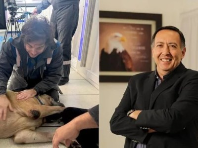 El techo operativo con el que se topó el gobierno&nbsp;libertario