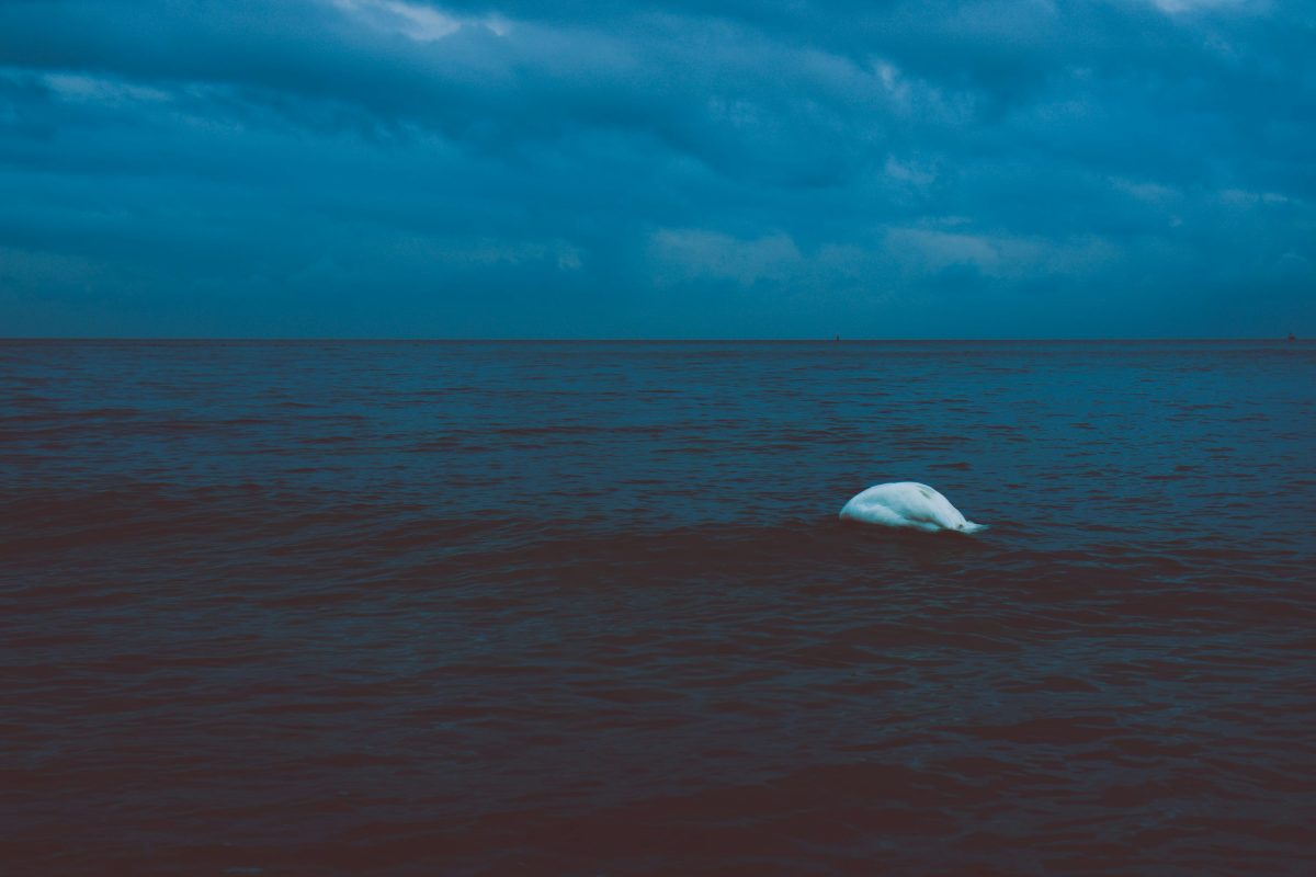 Crecer en la tristeza y en el amor que no se olvida 