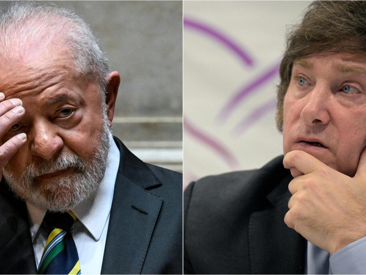 Brasil protesta y convoca a su embajador por los exabruptos de Milei en San Pablo, durante el apoyo a Flavio&nbsp;Bolsonaro